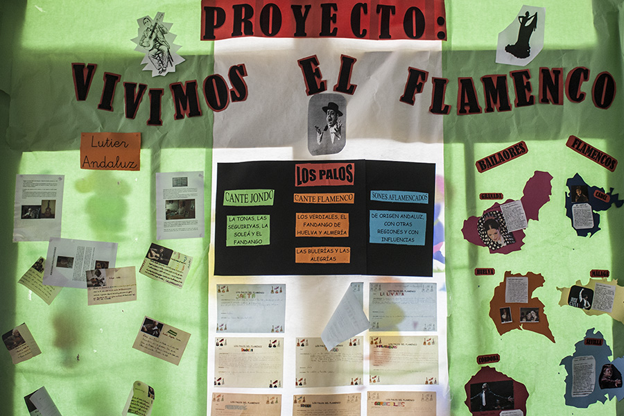 proyecto vivimos el flamenco